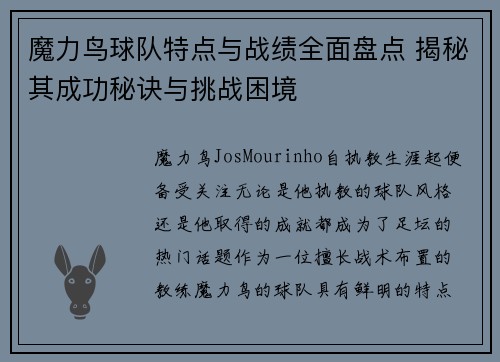 魔力鸟球队特点与战绩全面盘点 揭秘其成功秘诀与挑战困境